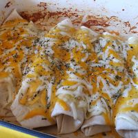 Slow Cooked Chicken Enchiladas