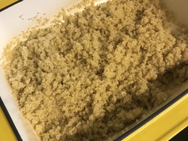 Quinoa wide display