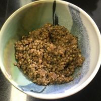 Lentils