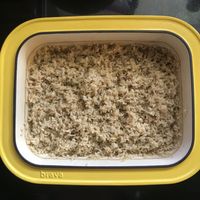 Brown Rice