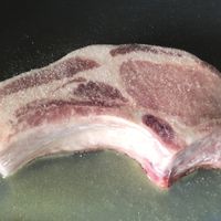 Pork 1.5" BERKSHIRE Bone-In "Ribeye'  Style Chop