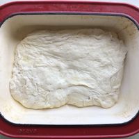 bread bake, 22 oz