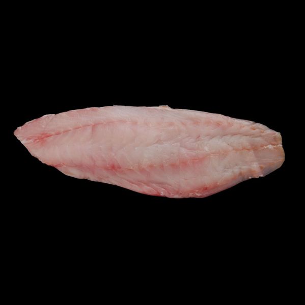 Trout image