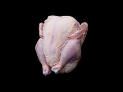Cornish Hen image
