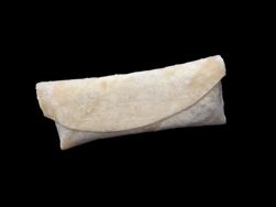 Frozen Burrito image