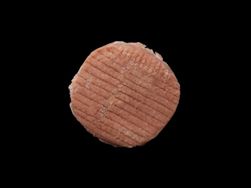 Frozen Turkey Burger image