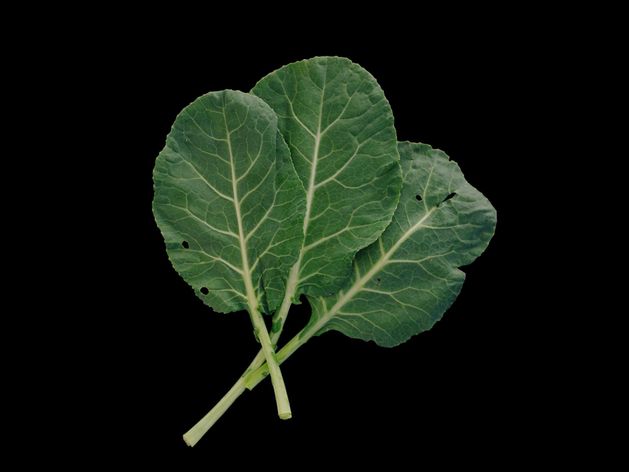 Sauteed Collard Greens
