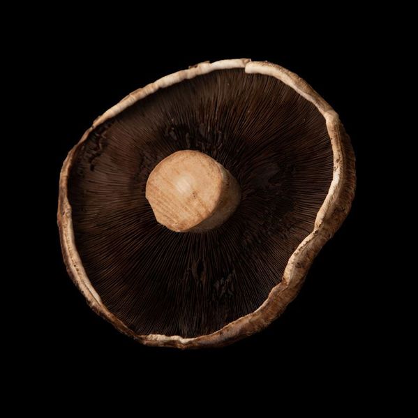 Portobello Mushrooms image