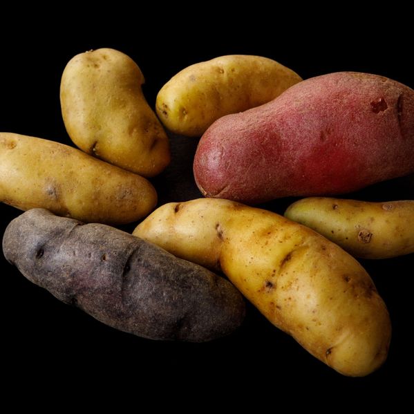 Fingerling Potatoes image