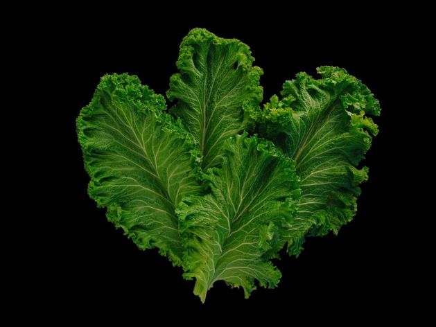 Sauteed Mustard Greens