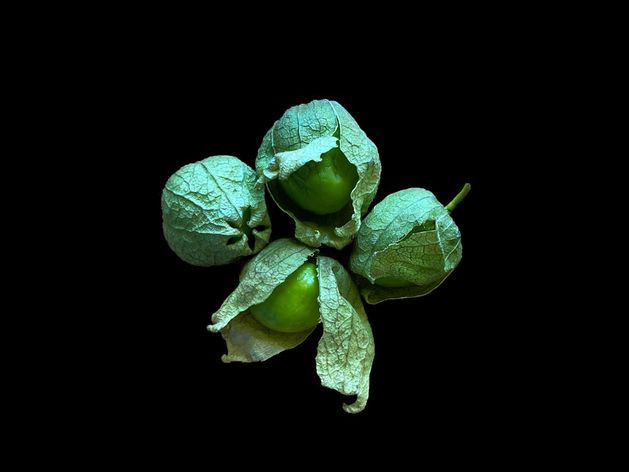 Tomatillos