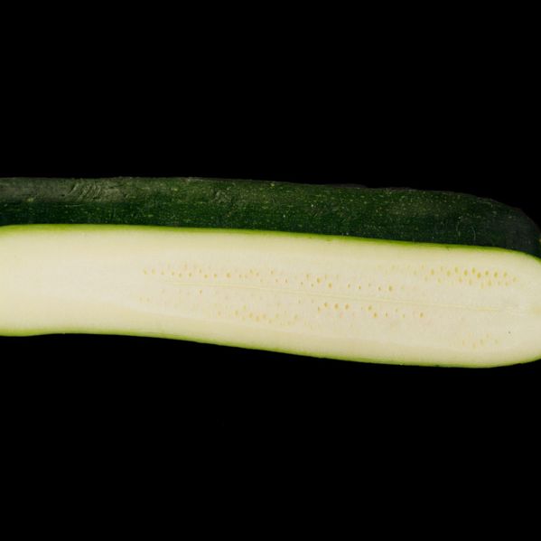 Zucchini image