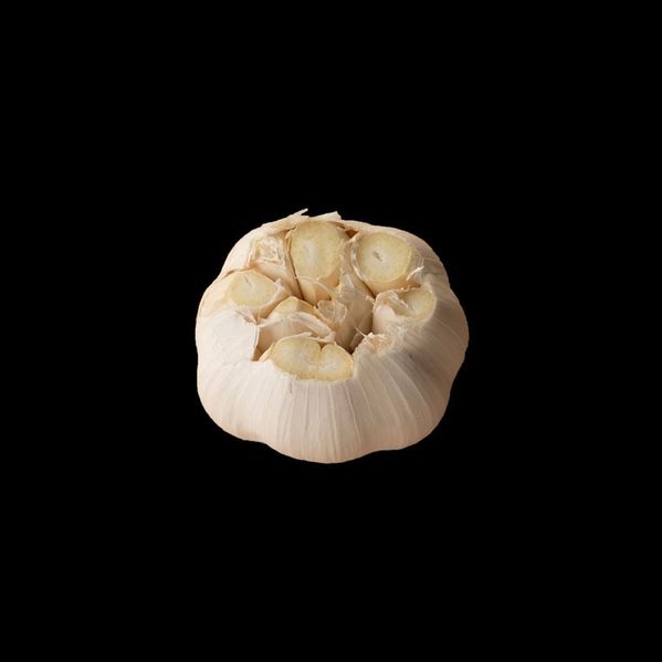 Garlic image